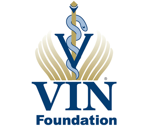 VIN Foundation logo