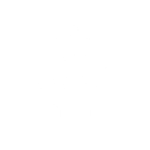 accomplished-icon-white-300px-1 virtual meeting icon