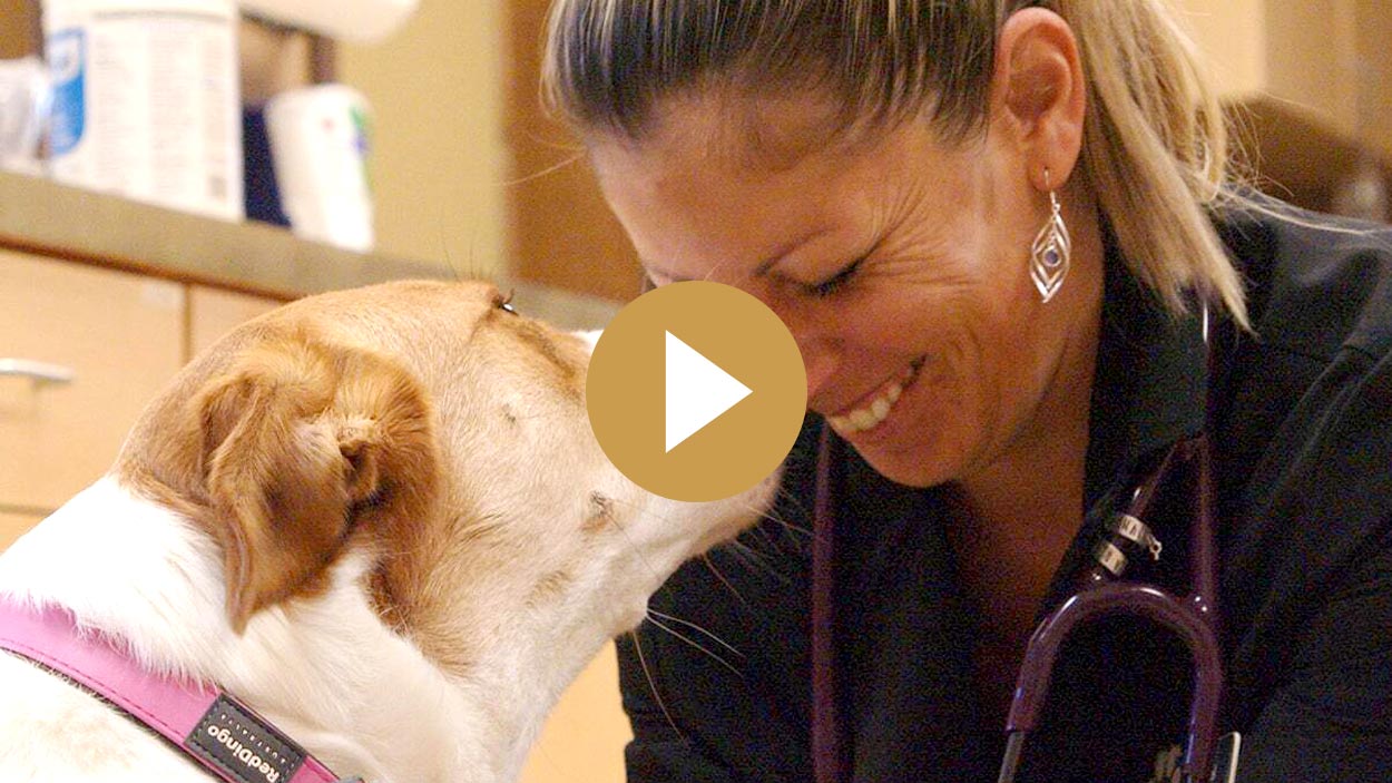 video still of vet smiling with dog