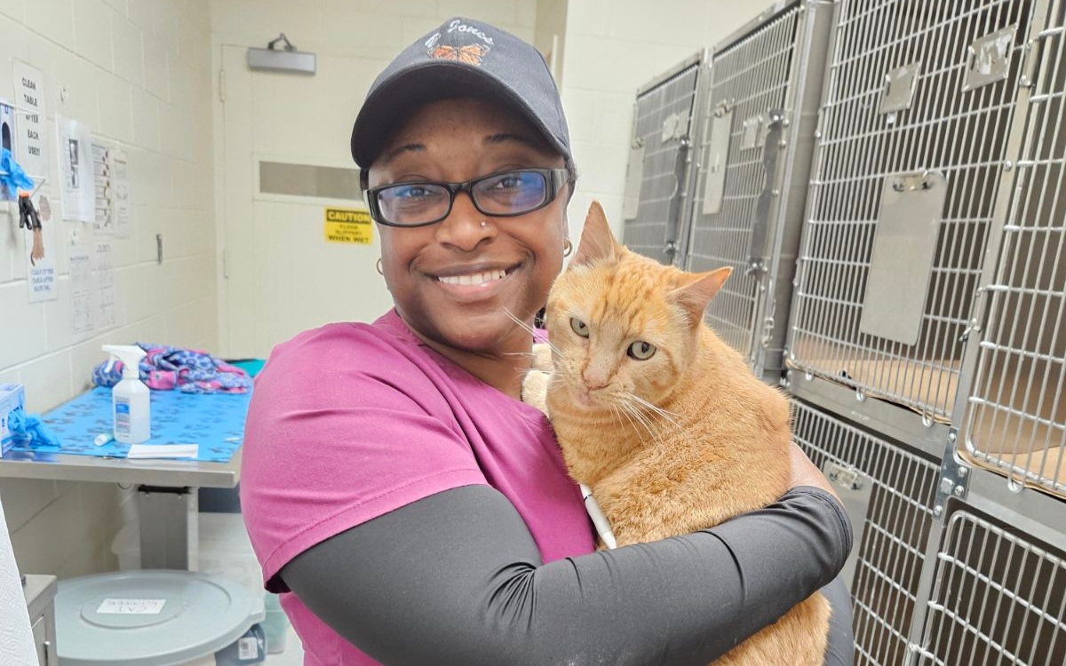 Future Veterinarians