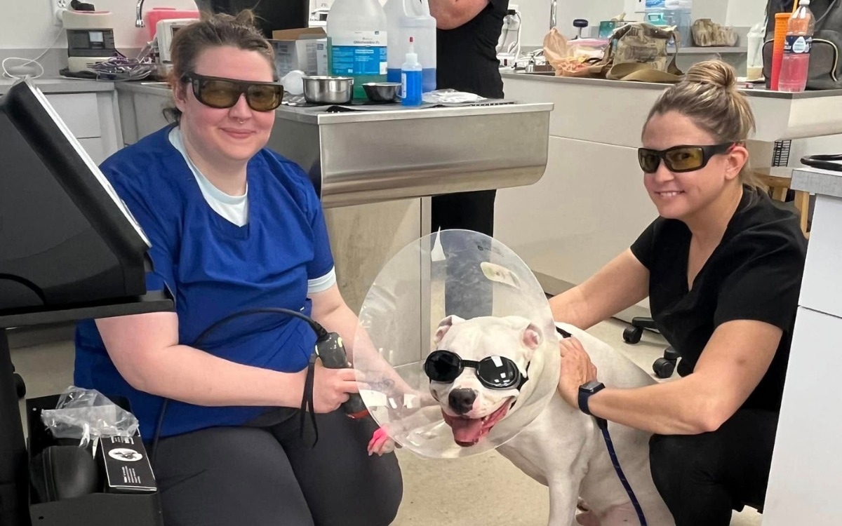 Veterinary Technicians