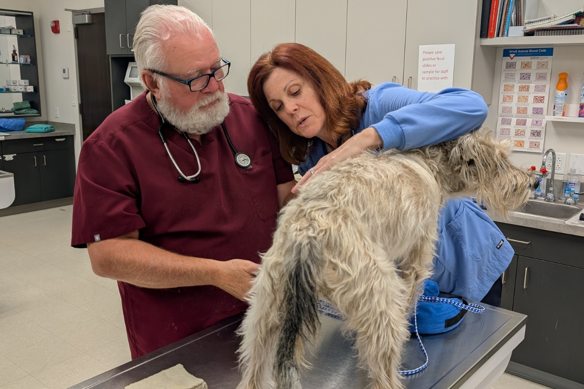 Dr. Diesel and Fulcher